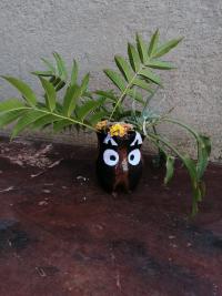 Flower pot owl. 